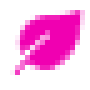 pink_leave.png